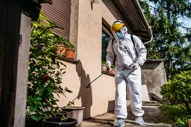 Best Ant Control Services  in Hallsville, MO