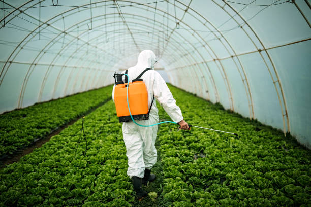 Best Affordable Pest Control Services  in Hallsville, MO