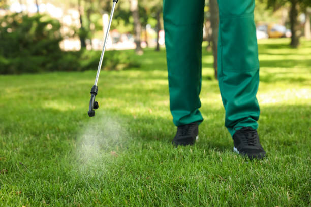 Best Exterminator Services  in Hallsville, MO