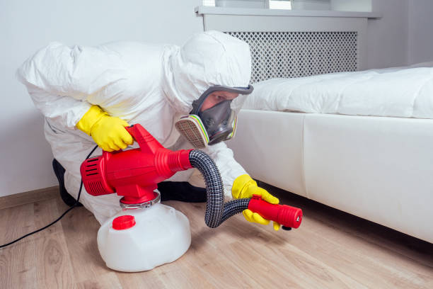 Best Bed Bug Extermination  in Hallsville, MO