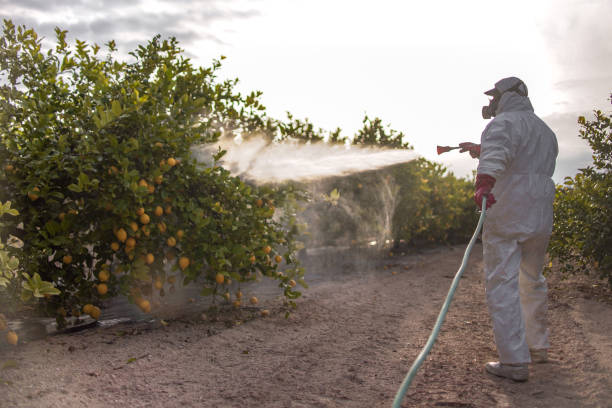 Professional Pest Control in Hallsville, MO