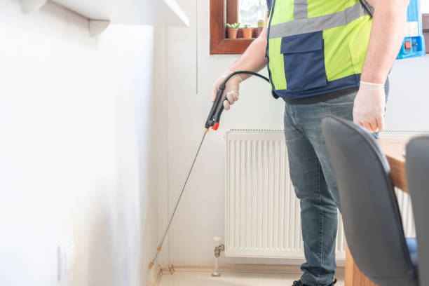 Best Pest Control Near Me  in Hallsville, MO
