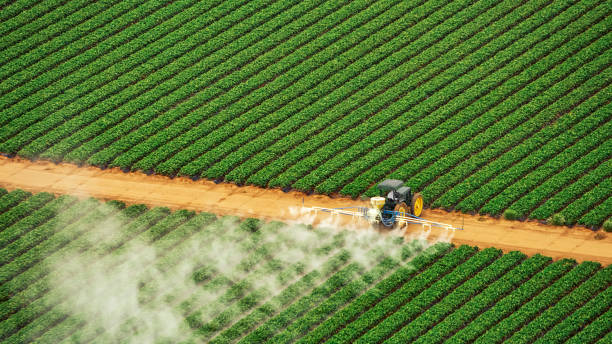 Best Pest Control for Homes  in Hallsville, MO