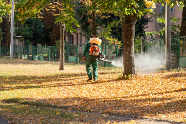 Best Cockroach Control Services  in Hallsville, MO