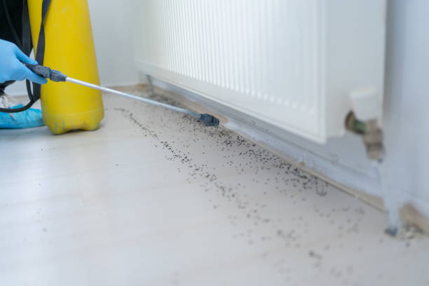 Best Wildlife Control Services  in Hallsville, MO